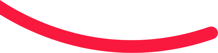 bottom-border-line